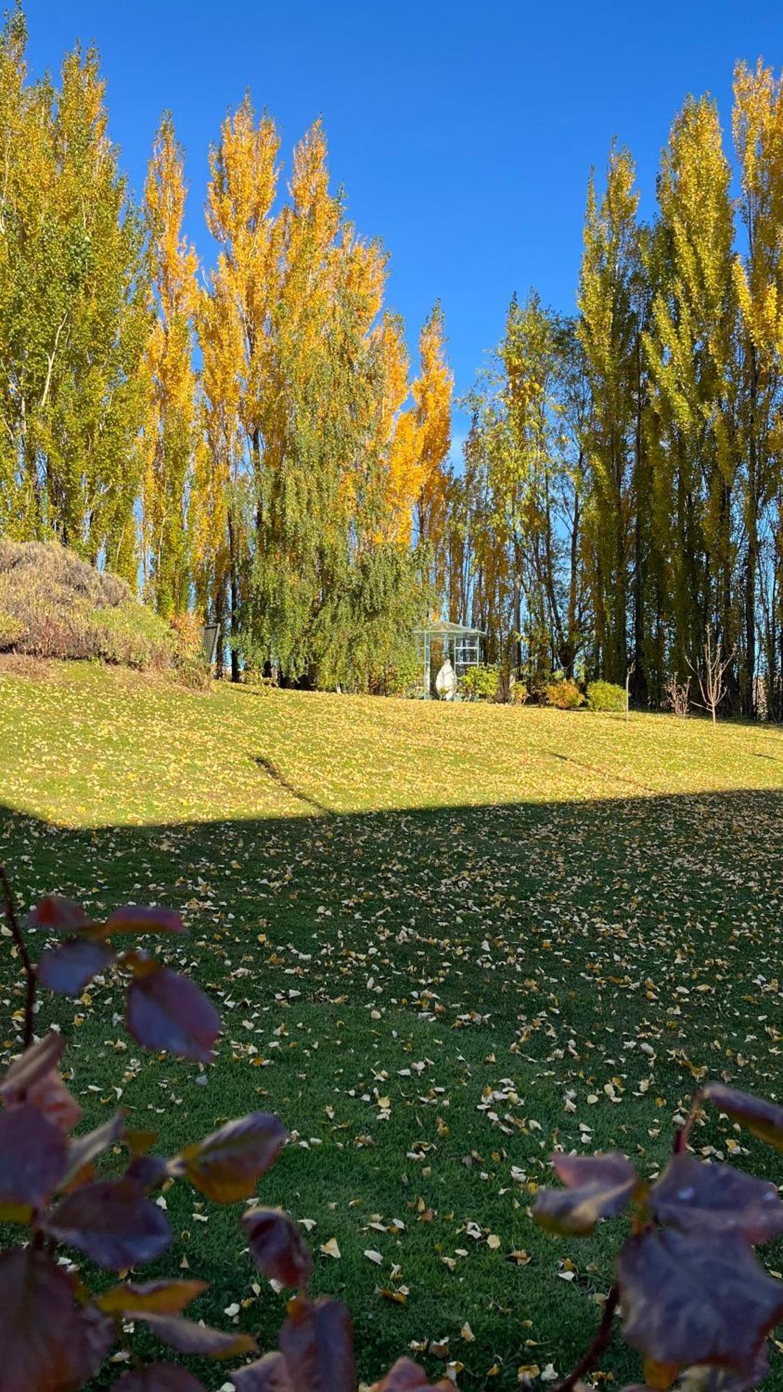 Los Ponchos Hotel El Calafate Bagian luar foto